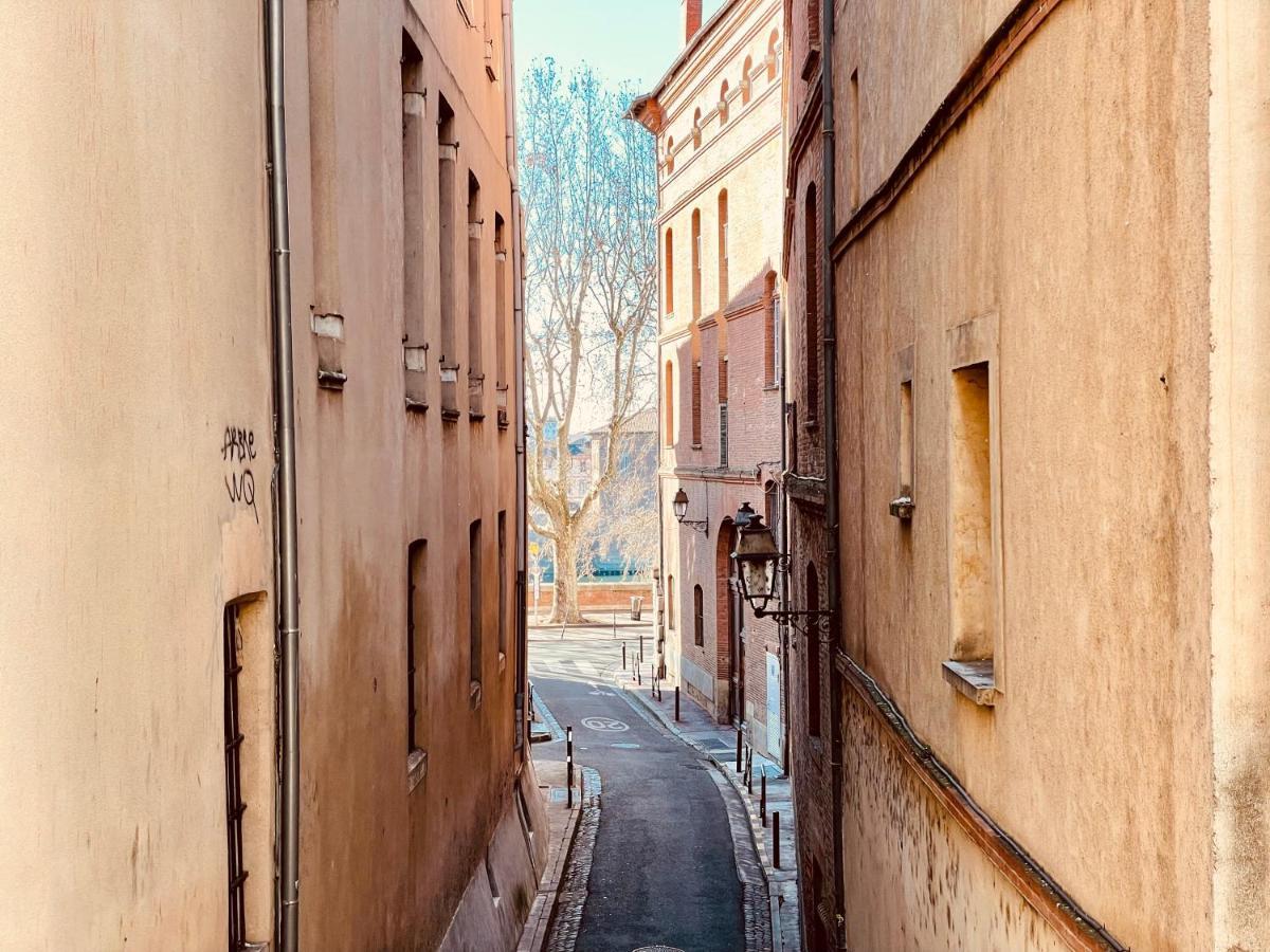 Merveilleux T2 De Standing A 90M De La Garonne Toulouse Dış mekan fotoğraf